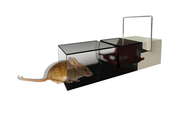 FRAP® TAPETTE SOURIS X 3 – Image 2
