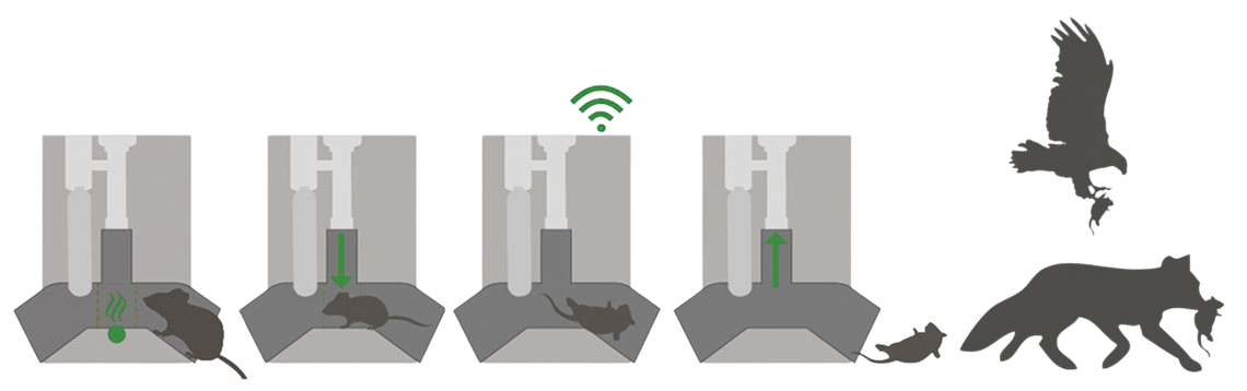 AUROTRAP® NATURE – Image 3